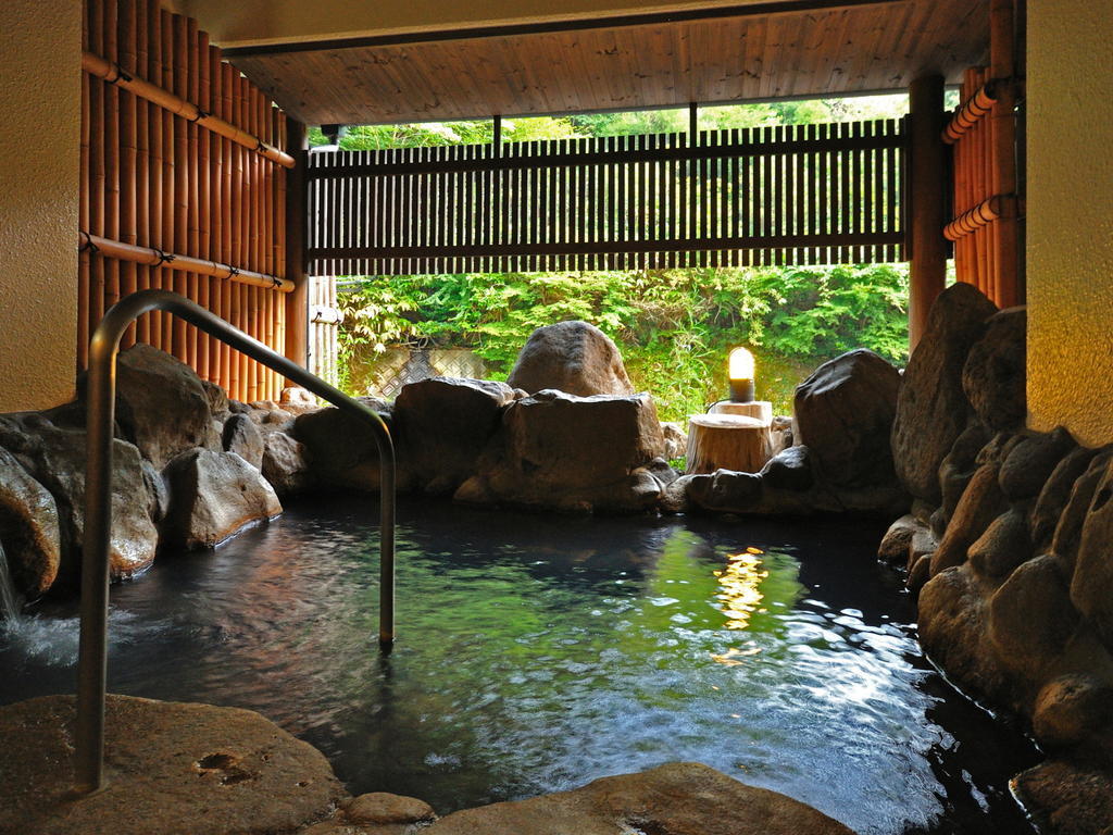 Yamabiko Ryokan Minamioguni Room photo